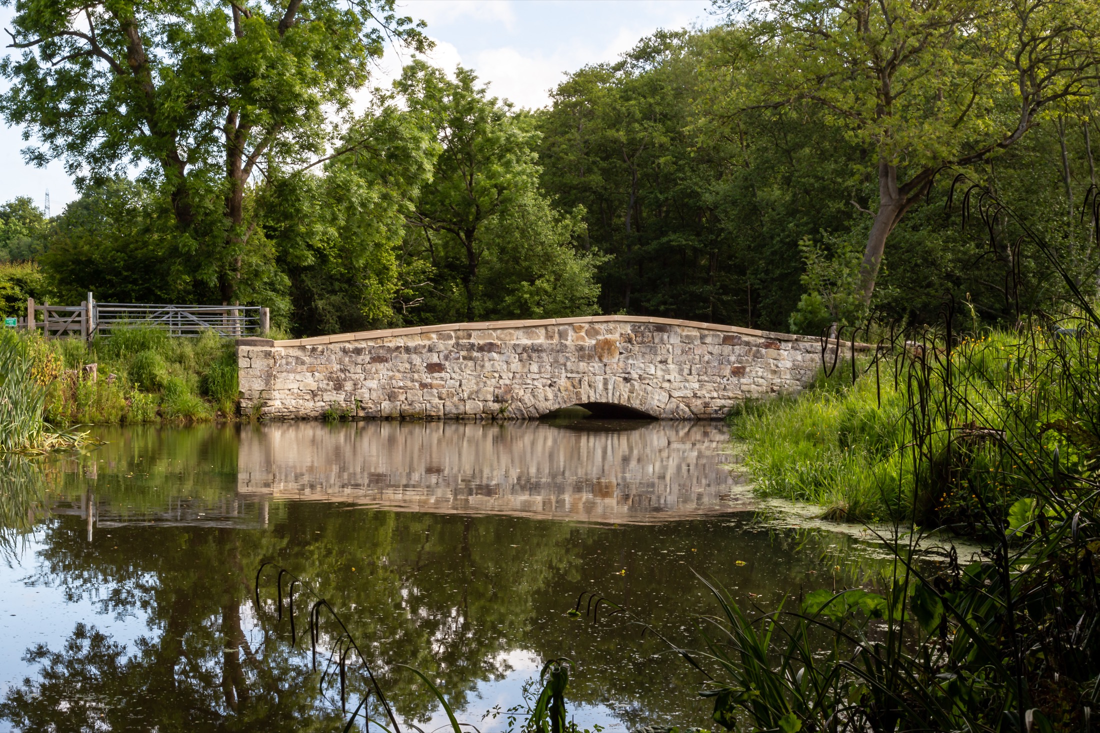 The stone bridge over the water that gives BuckleBridge Farm its name